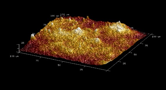 polish how glass Syntivia polish Atomic Microscopy  nail Force  to analyse